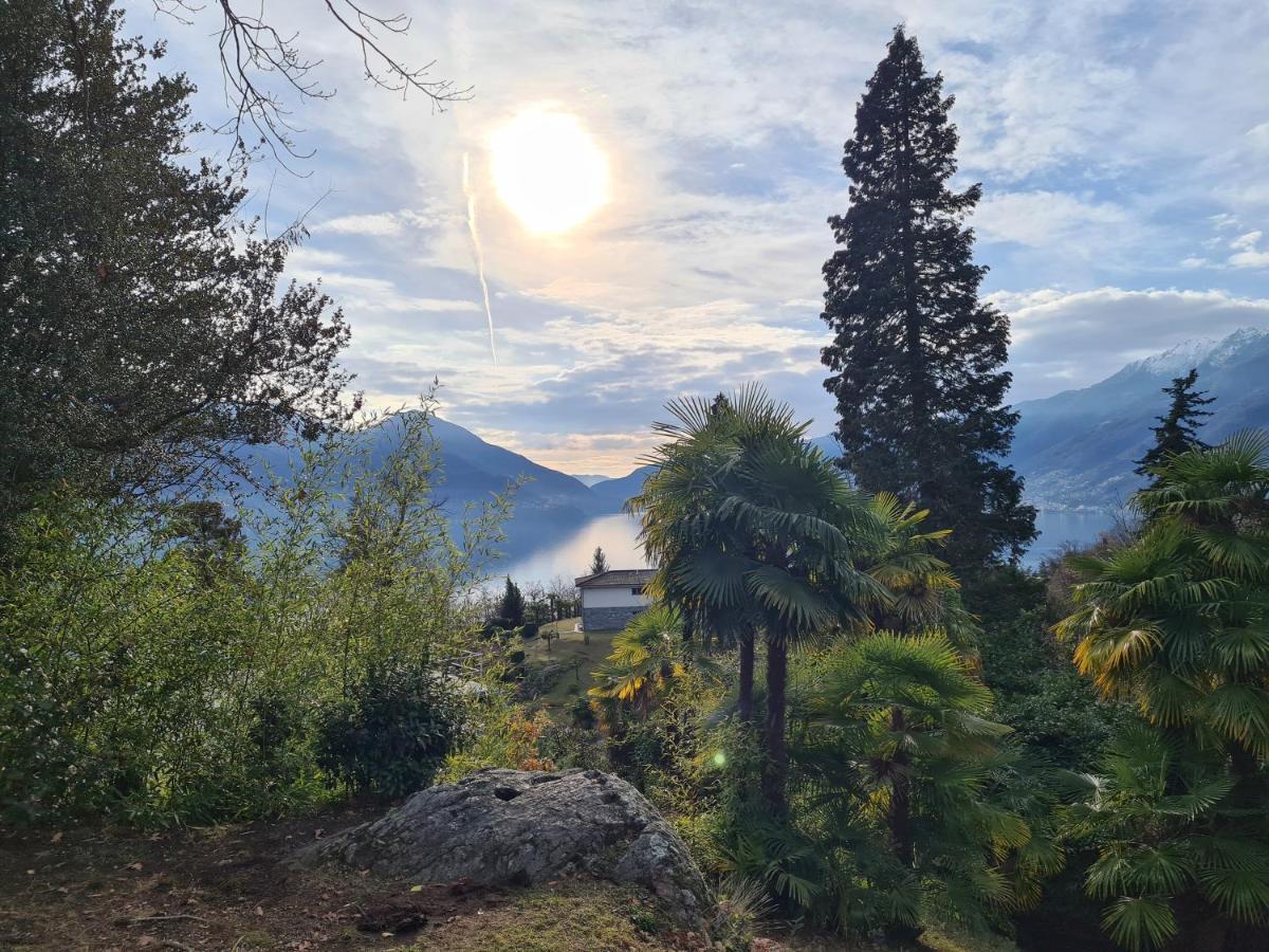 Bed and Breakfast Casa Tipica Arbedese Arbedo-Castione Esterno foto